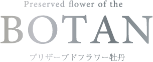 Preserved Flower of Japanese peony 'BOTAN' プリザーブドフラワー牡丹 